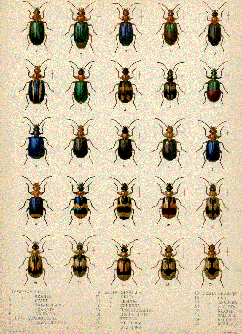 image for page Sustaining Life