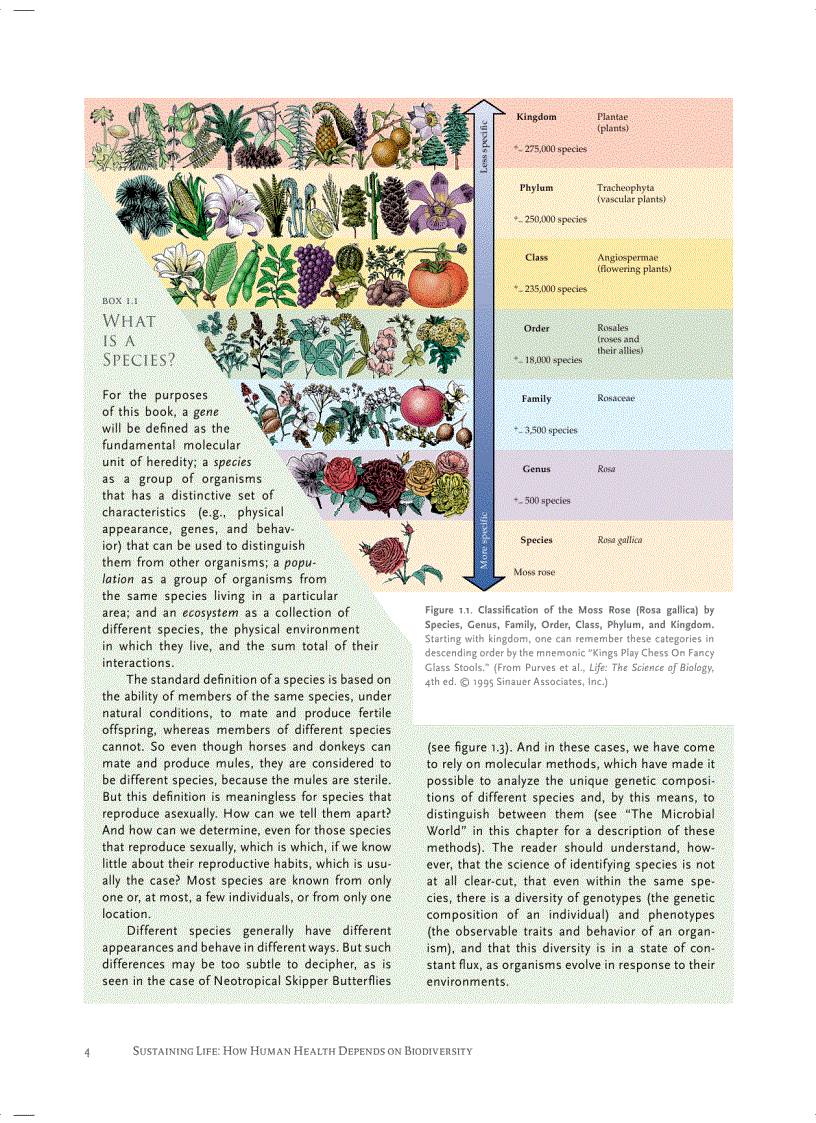 image for page Sustaining Life