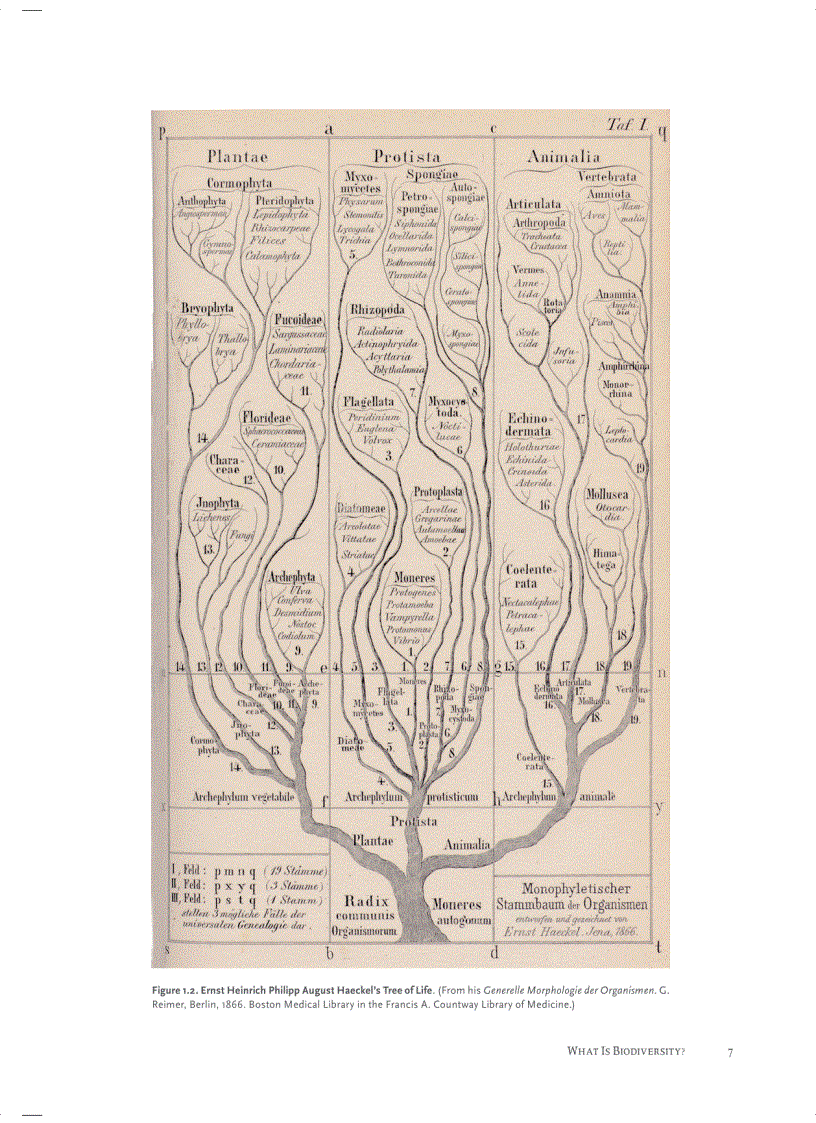 image for page Sustaining Life
