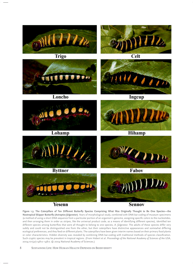 image for page Sustaining Life