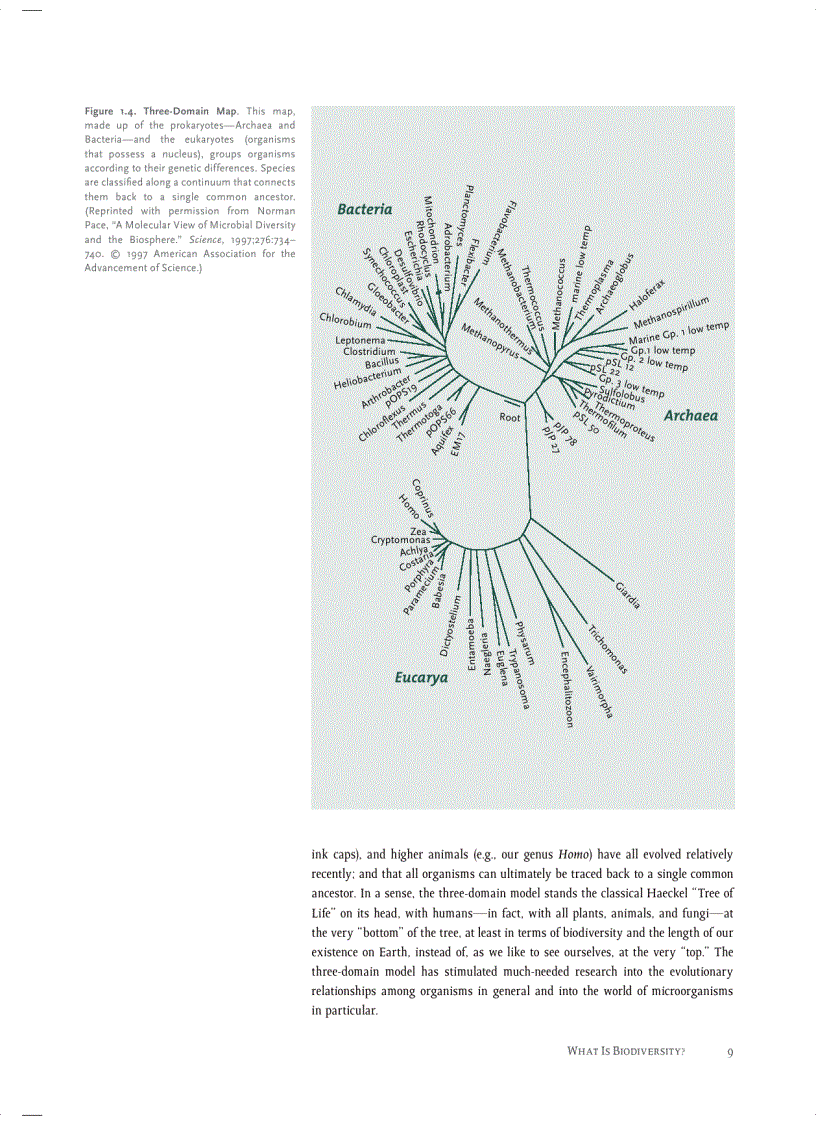 image for page Sustaining Life