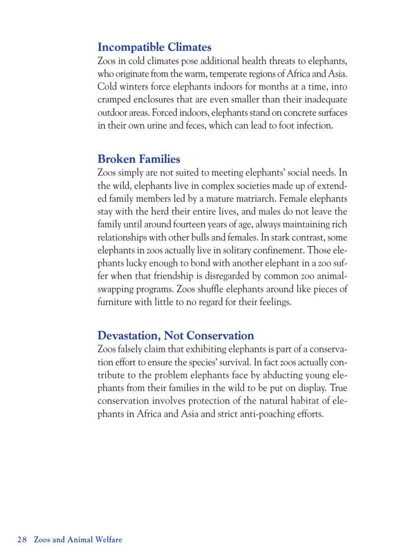 image for page Zoos and Animal Welfare Issues That Concern You