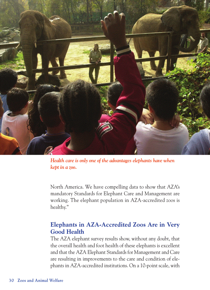 image for page Zoos and Animal Welfare Issues That Concern You