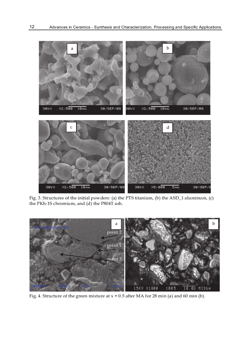 image for page Advances in Ceramics Synthesis and Characterization Processing and Specific Applications