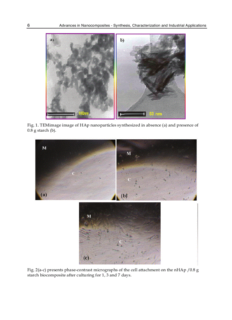 image for page Advances in Nanocomposites Synthesis Characterization and Industrial Applications
