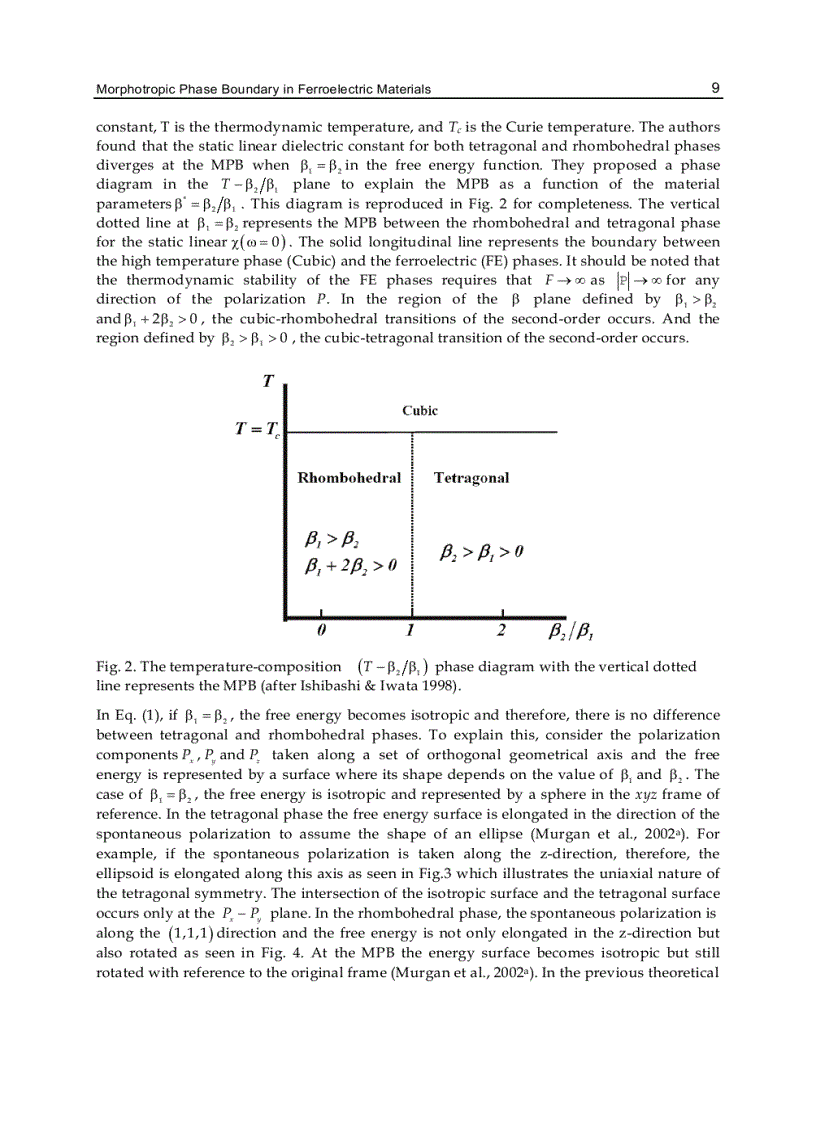 image for page Ferroelectrics Physical Effects