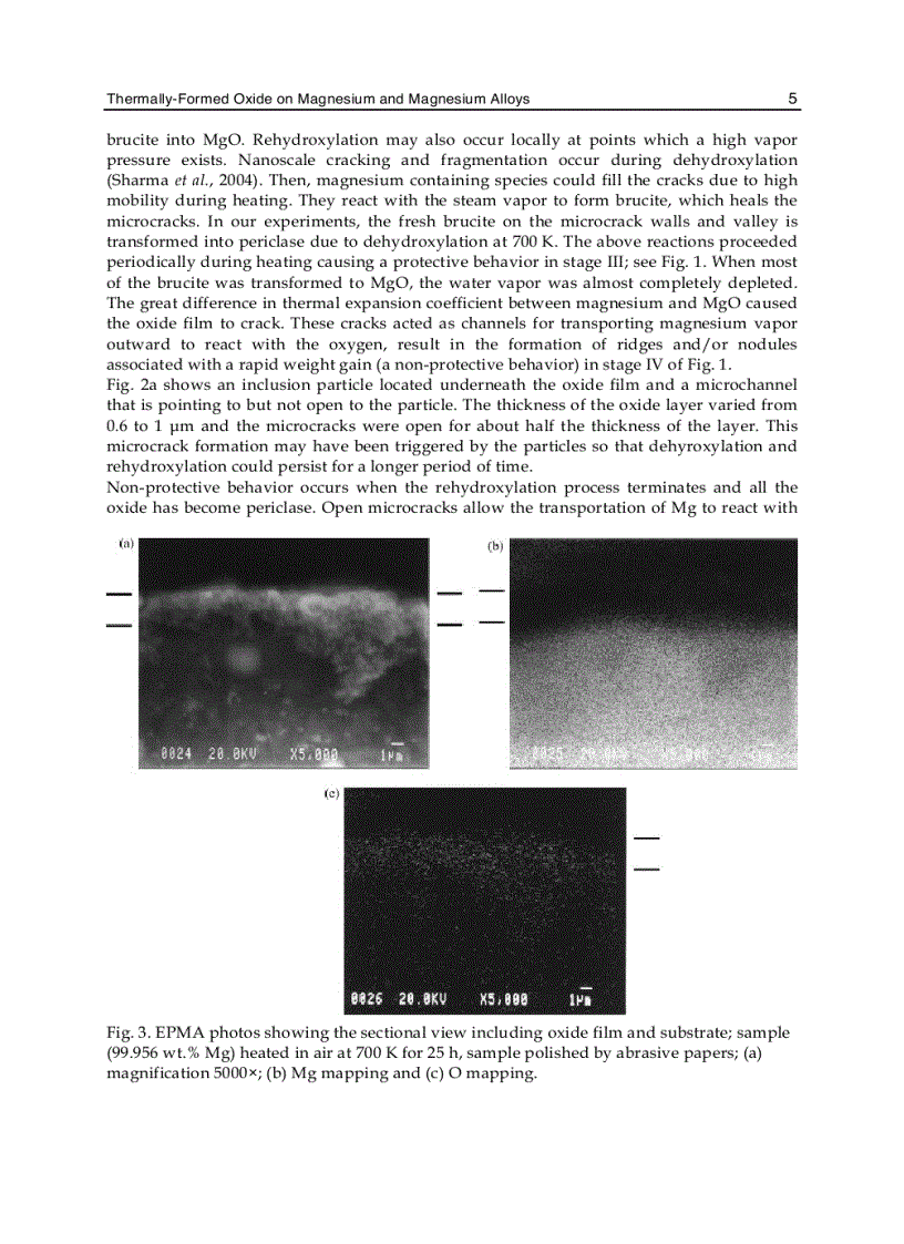 image for page Magnesium Alloys Corrosion and Surface Treatments