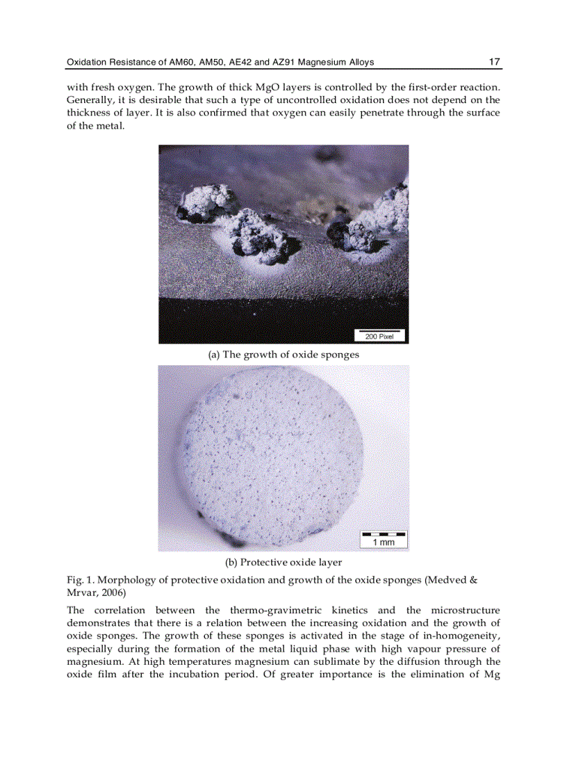 image for page Magnesium Alloys Corrosion and Surface Treatments