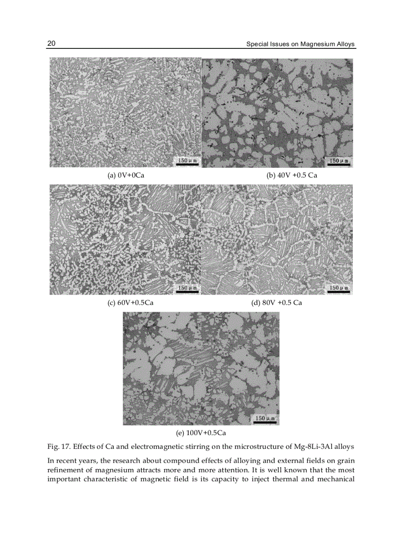 image for page Special Issues on Magnesium Alloys