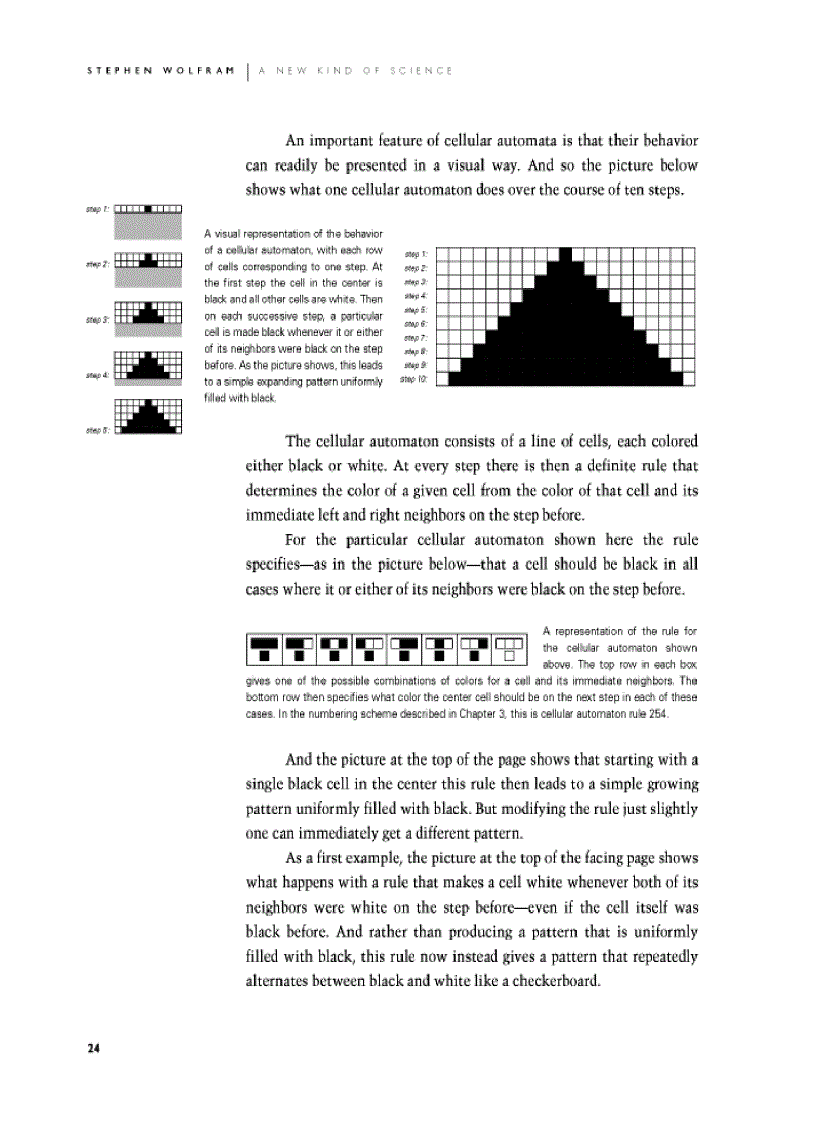 image for page A New Kind of Science First Edition