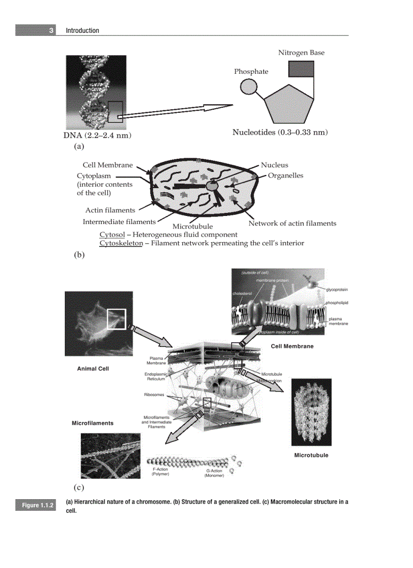 image for page Cambridge