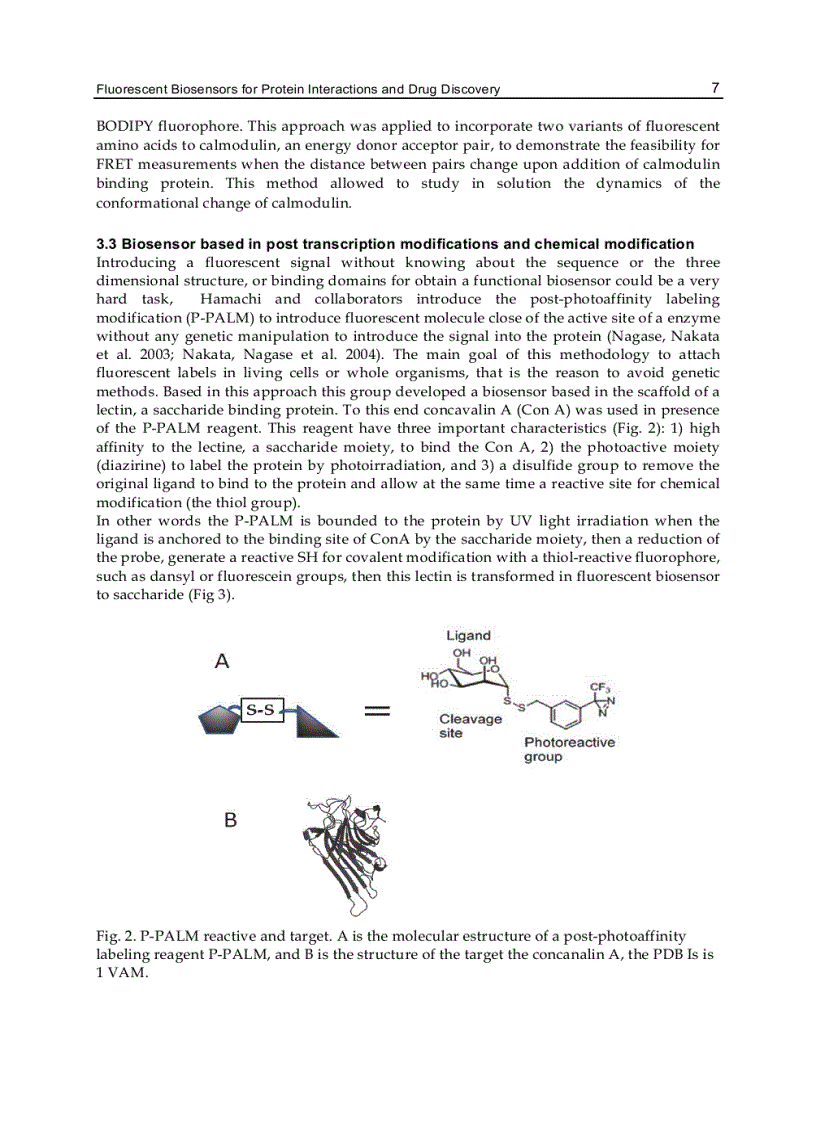 image for page Biosensors for Health Environment and Biosecurity