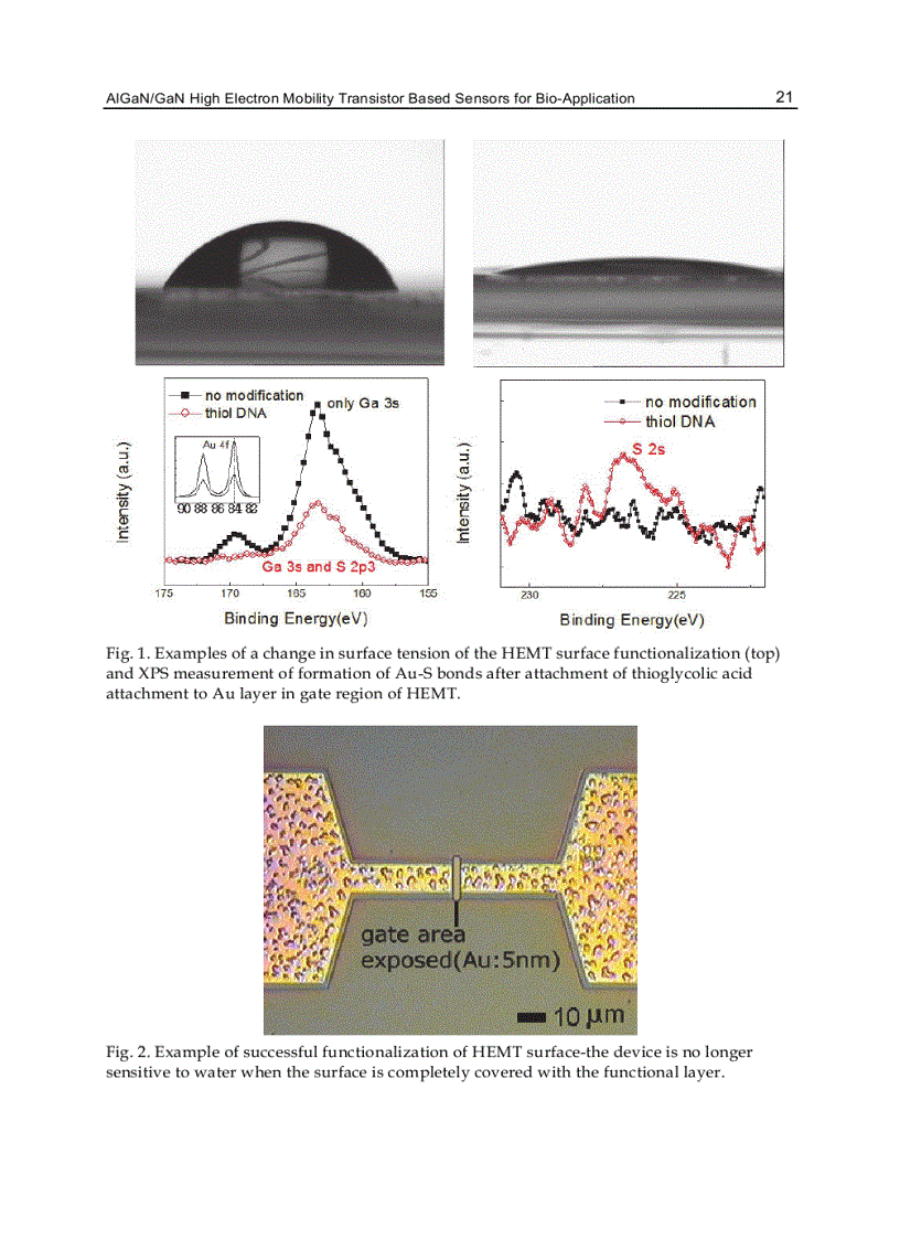 image for page Biosensors for Health Environment and Biosecurity