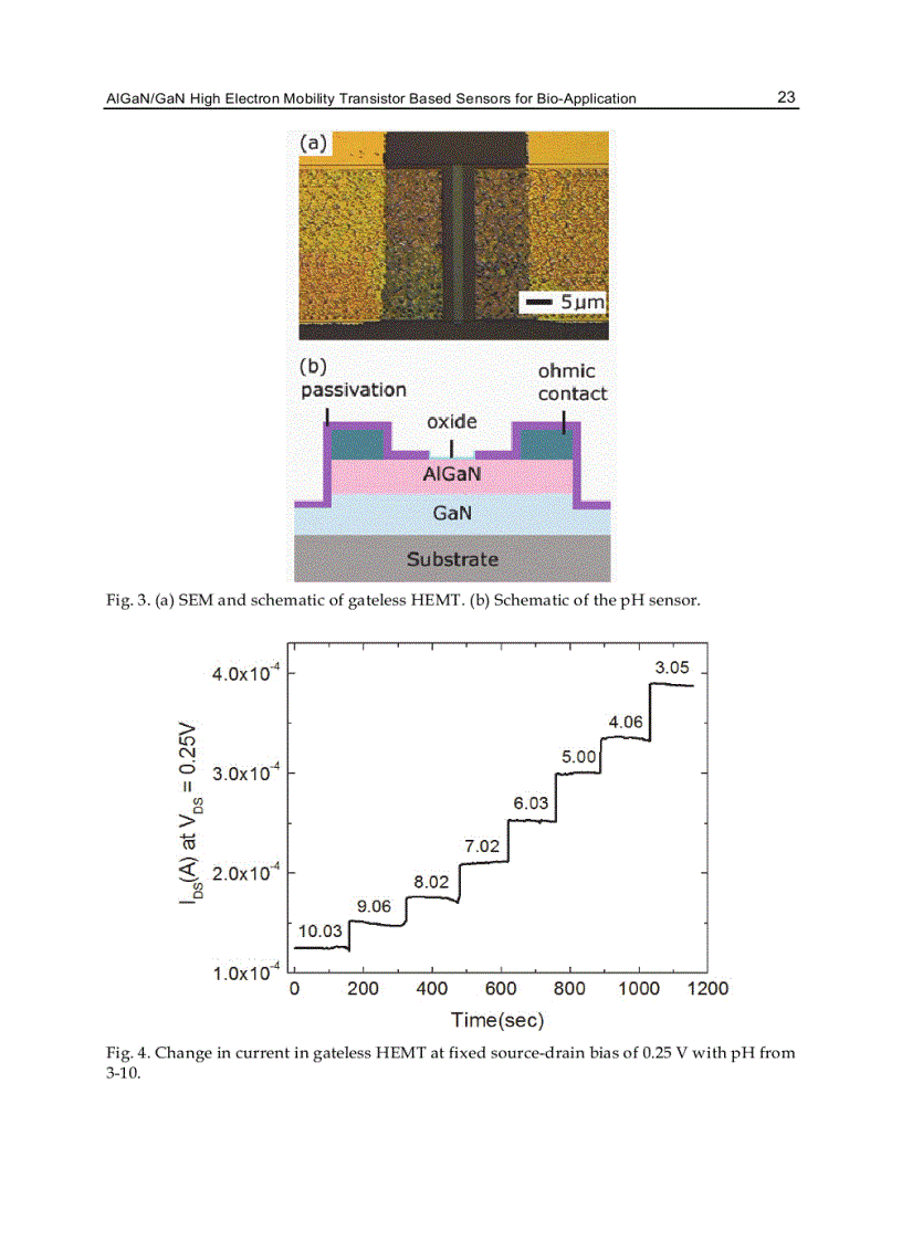 image for page Biosensors for Health Environment and Biosecurity