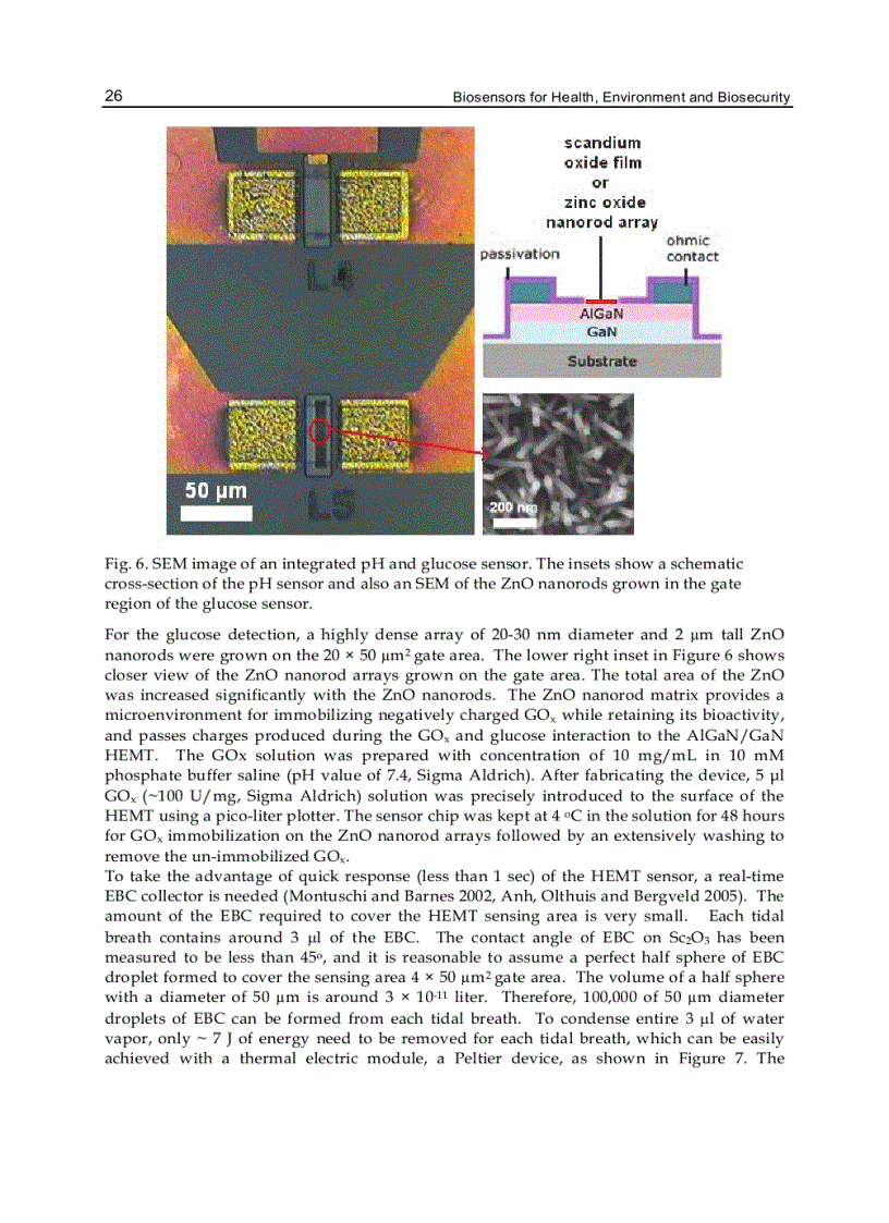 image for page Biosensors for Health Environment and Biosecurity