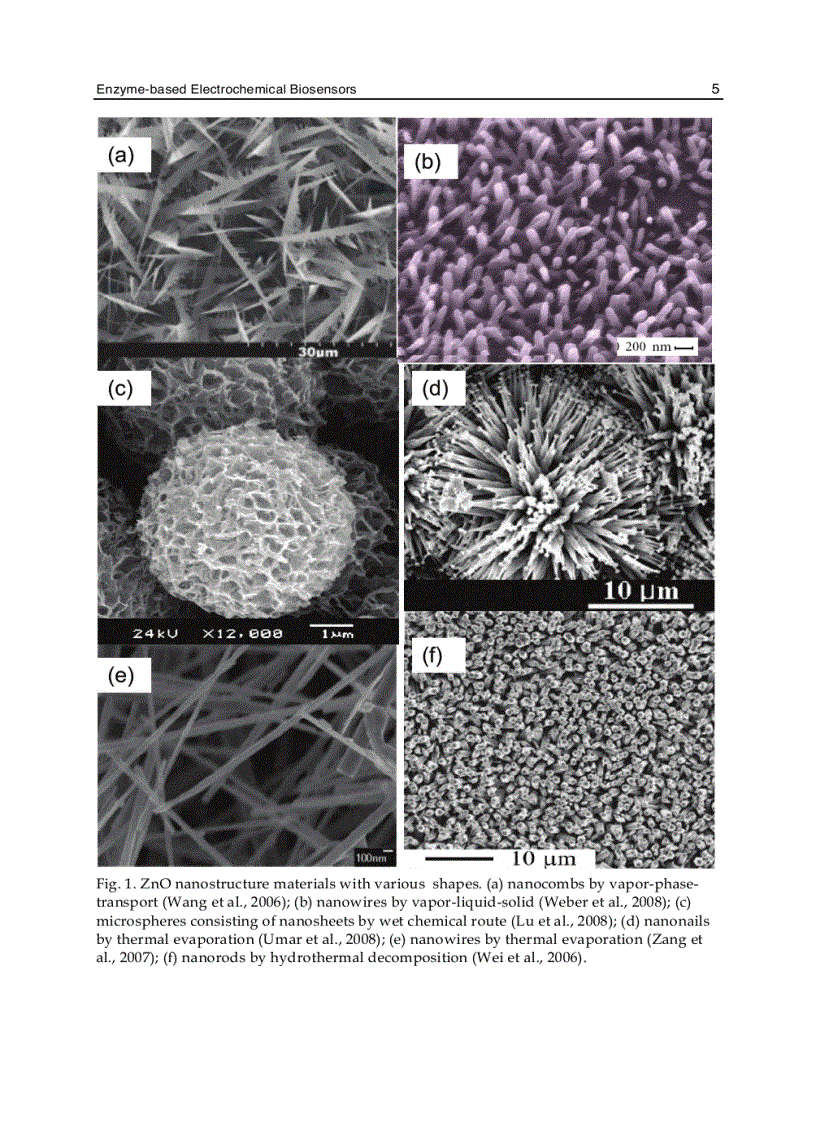 image for page Biosensors 1