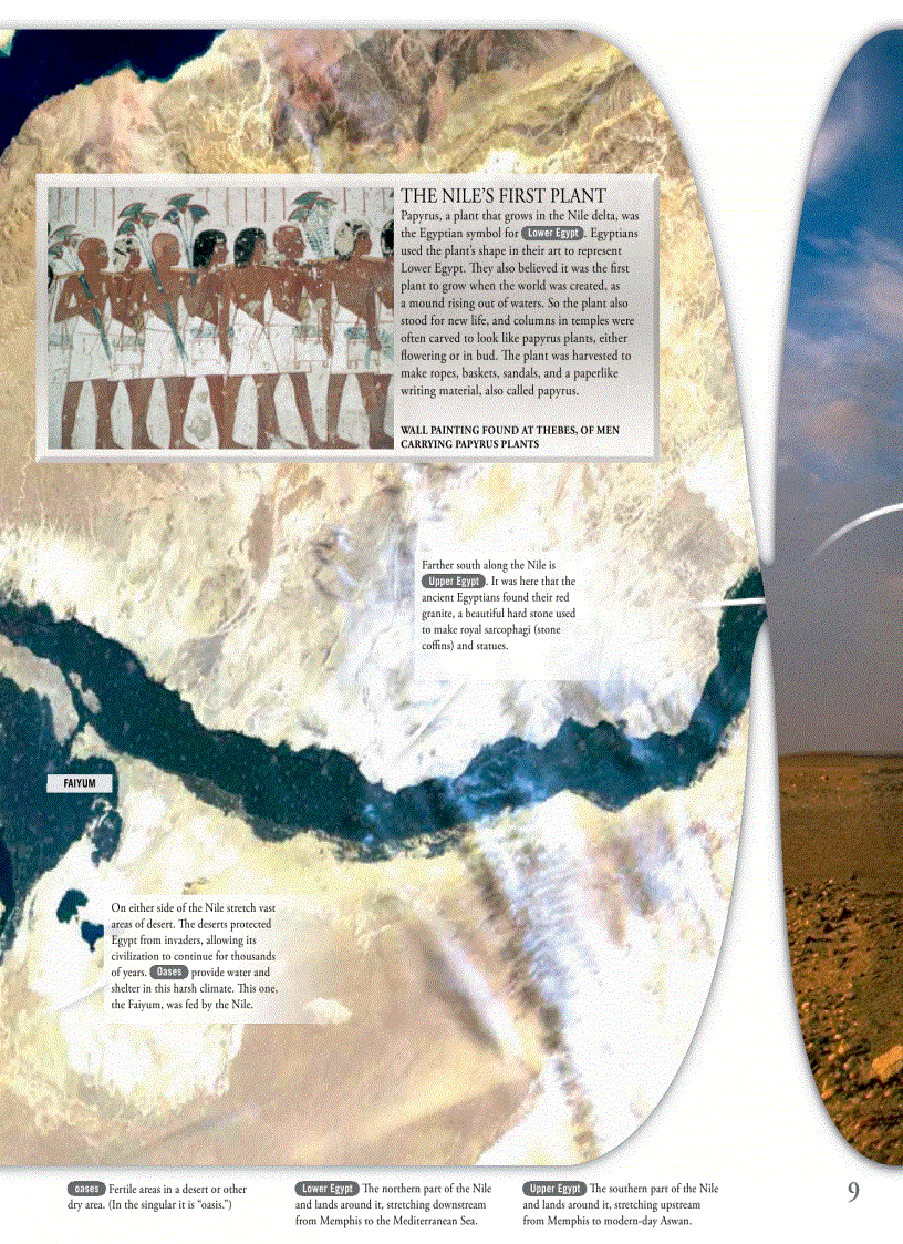 image for page Pyramid EXPERIENCE By DK Publishing