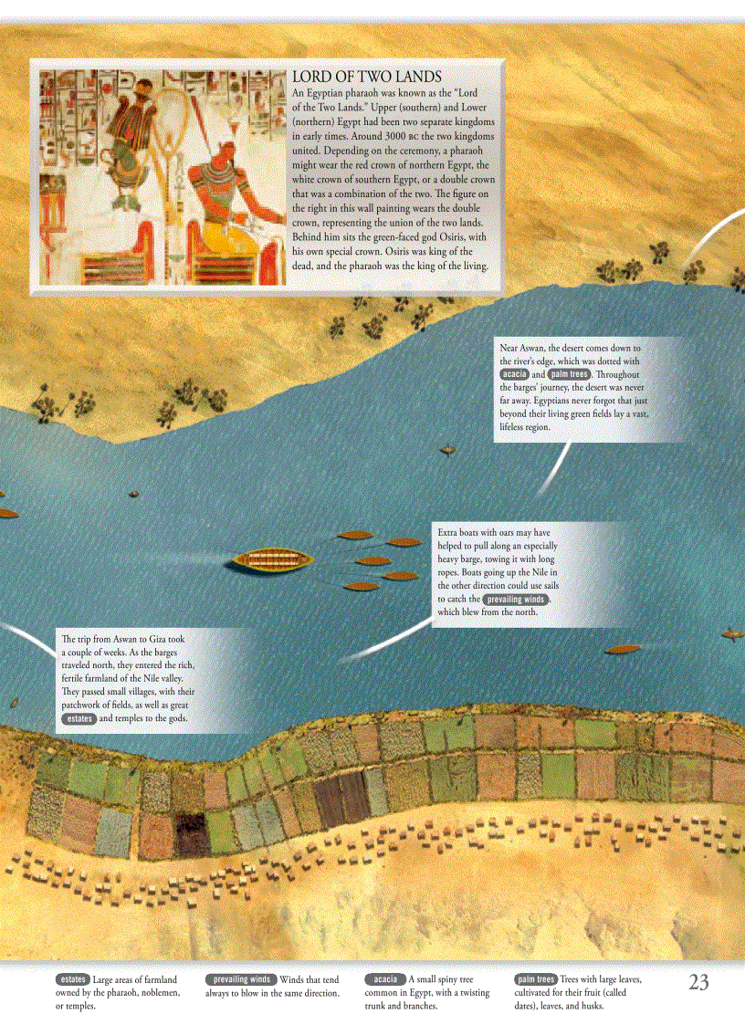 image for page Pyramid EXPERIENCE By DK Publishing