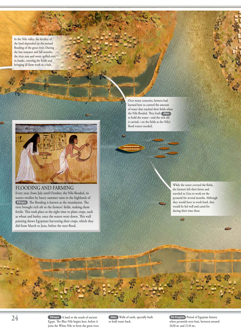 image for page Pyramid EXPERIENCE By DK Publishing