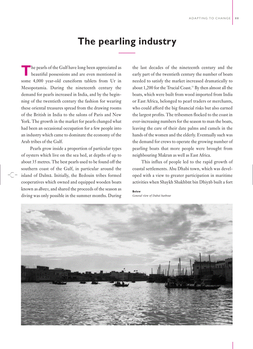 image for page The Architecture of the United Arab Emirates