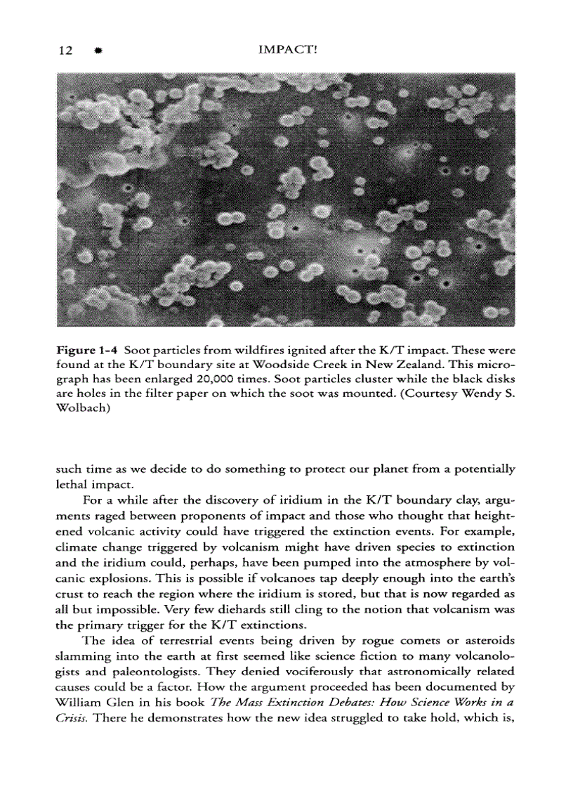 image for page Impact The Threat of Comets and Asteroids