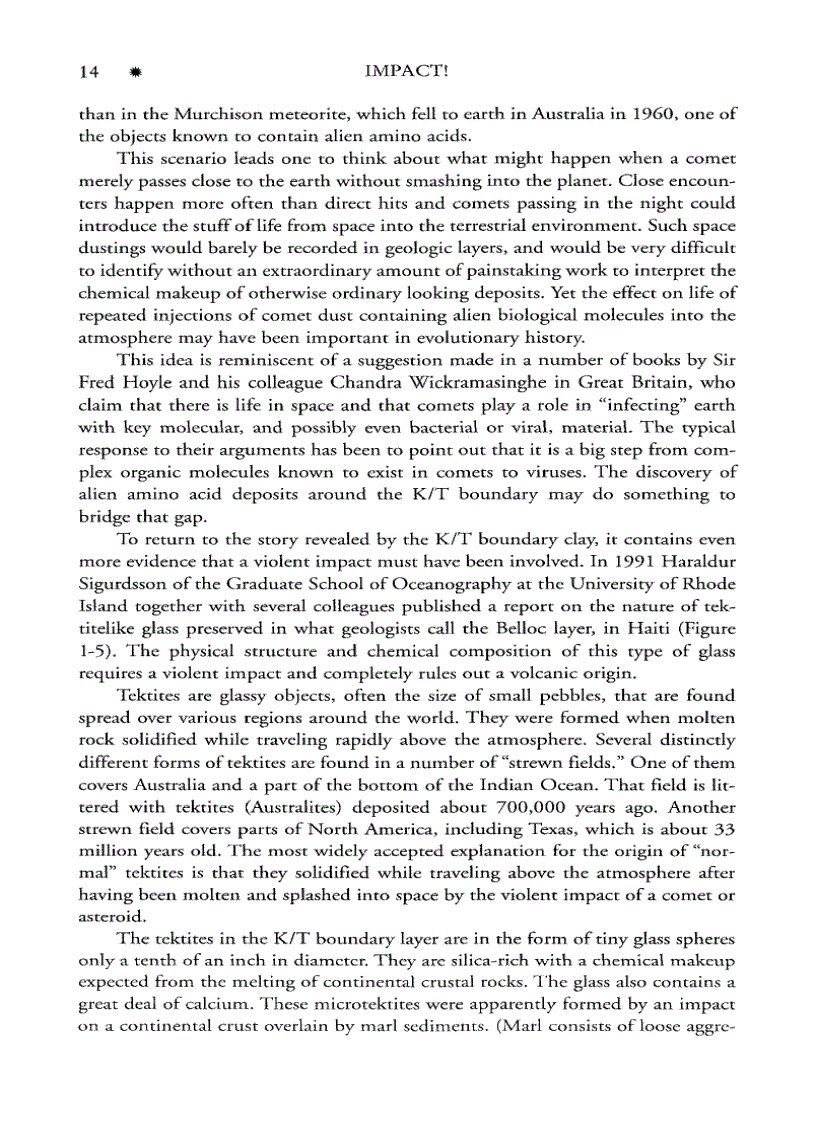 image for page Impact The Threat of Comets and Asteroids