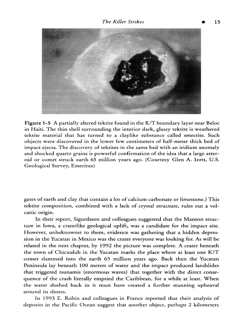 image for page Impact The Threat of Comets and Asteroids