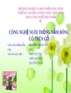 Tiểu luận công nghệ trồng nấm đông cô trên gỗ