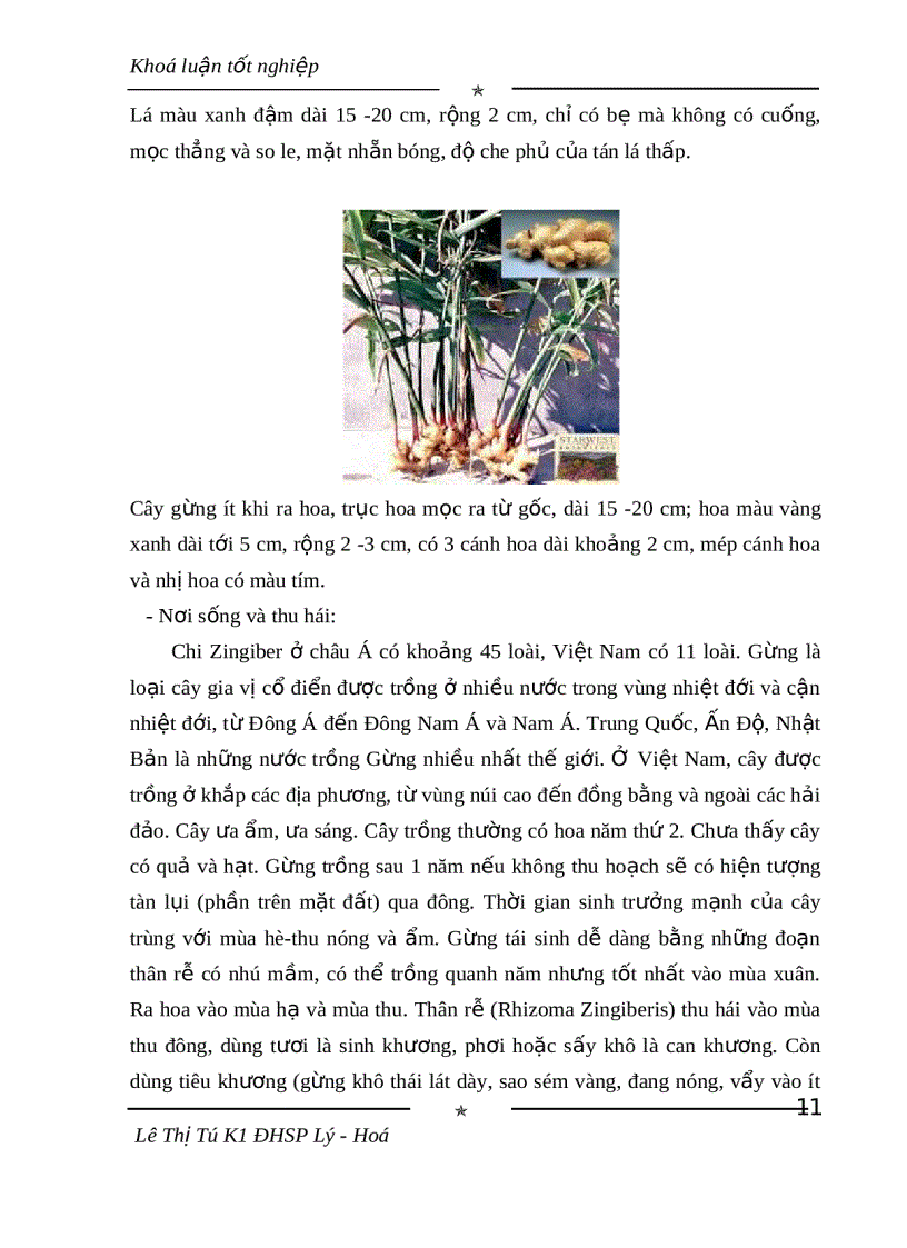 image for page Phân tích và định lượng thành phần hóa học của tinh dầu thân rễ nghệ vàng ở Thanh Hóa