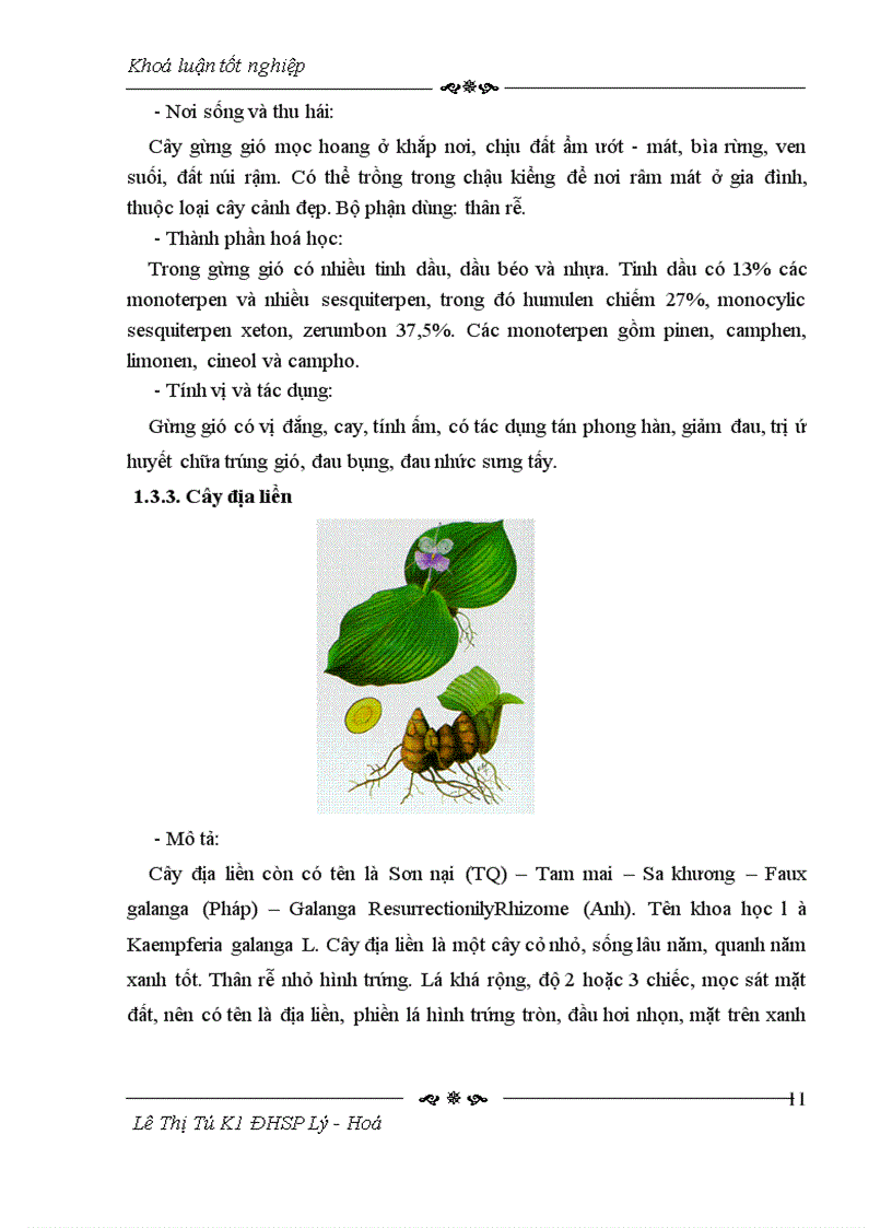 image for page Phân tích và định lượng thành phần hóa học của tinh dầu thân rễ nghệ vàng ở Thanh Hóa