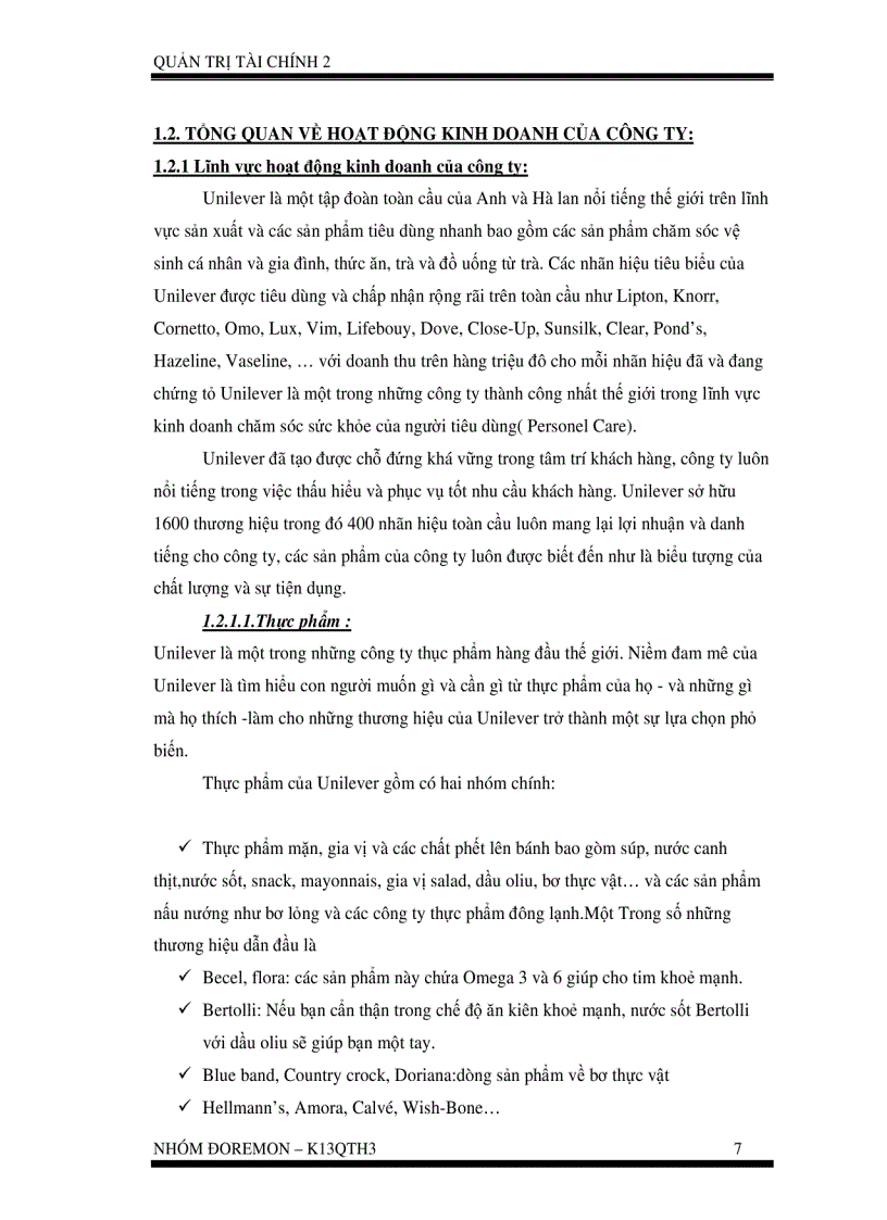 image for page Phân tích tình hình tài chính và lập dự toán báo cáo tài chính của công ty Unilever Việt Nam