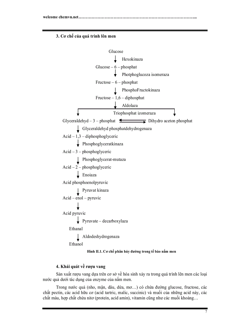 image for page So sánh tốc độ lên men cũng như chất lượng sản phẩm rượu thu được từ nấm men Saccharomyces cerevisiaeevà nấm men phân lập giống Saccharomyces sp từ tự nhiên trên vỏ trái nho