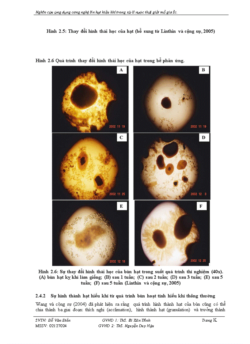 image for page Nghiên Cứu Ứng Dụng Công Nghệ Bùn Hạt Hiếu Khí Trong Xử Lý Nước Thải Giết Mổ Gia Súc