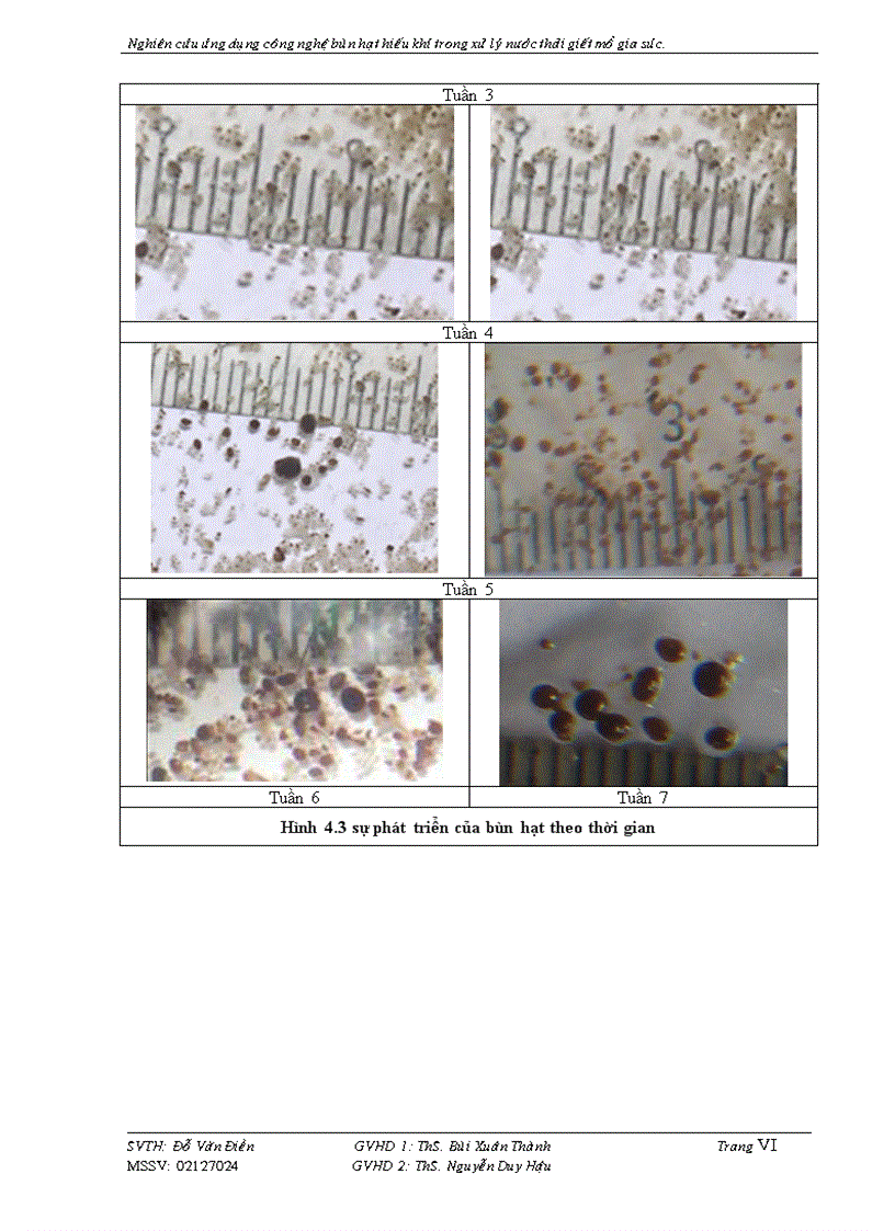 image for page Nghiên Cứu Ứng Dụng Công Nghệ Bùn Hạt Hiếu Khí Trong Xử Lý Nước Thải Giết Mổ Gia Súc