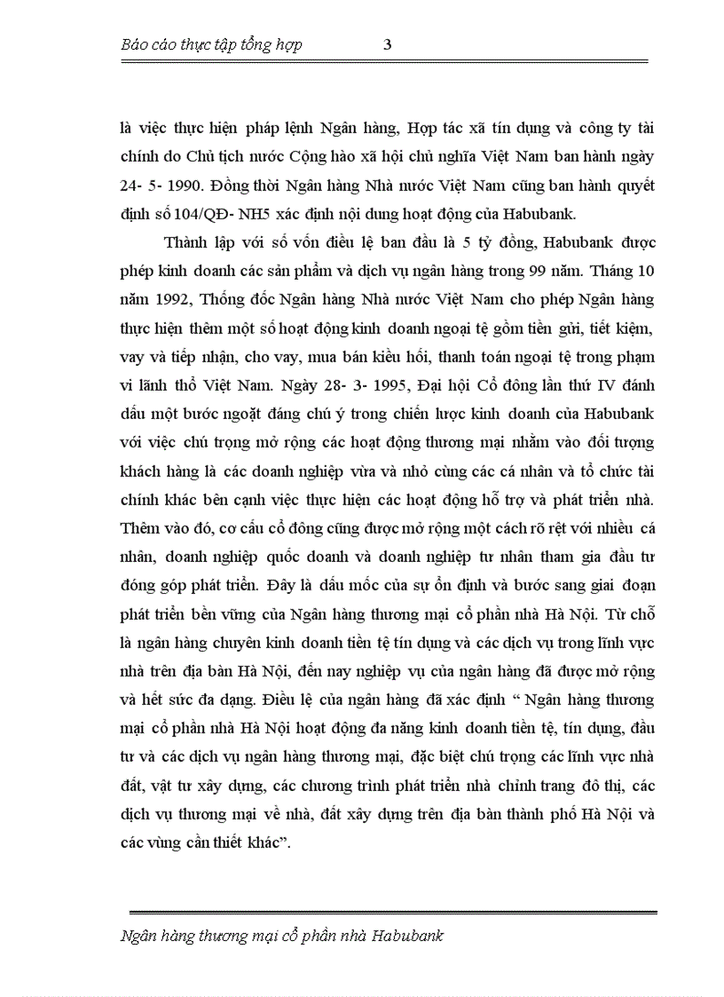Báo cáo tổng hợp tại ngân hàng NHTMCP Nhà HN HabuBank