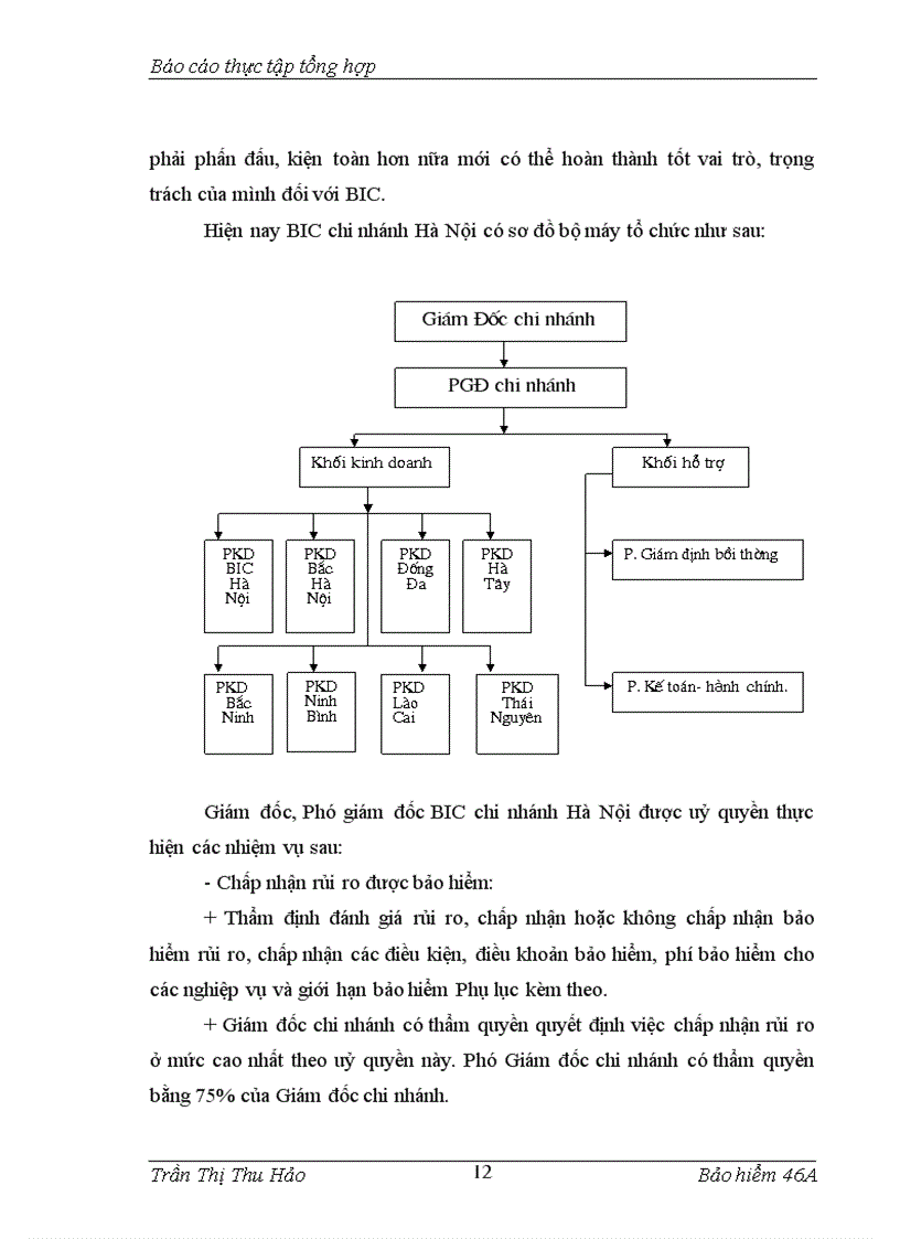 image for page Báo cáo thực tập tại Công ty bảo hiểm ngân hàng NHĐT PT BIC Việt Nam