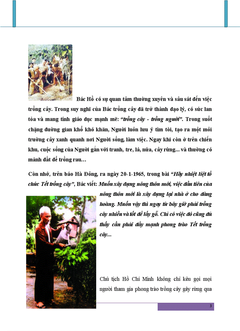 image for page Phân tích luận điểm của Hồ Chí Minh Vì lợi ích mười năm thì phải trồng cây vì lợi ích trăm năm thì phải trồng người vận dụng vào công cuộc đổi mới của Việt Nam hiện nay