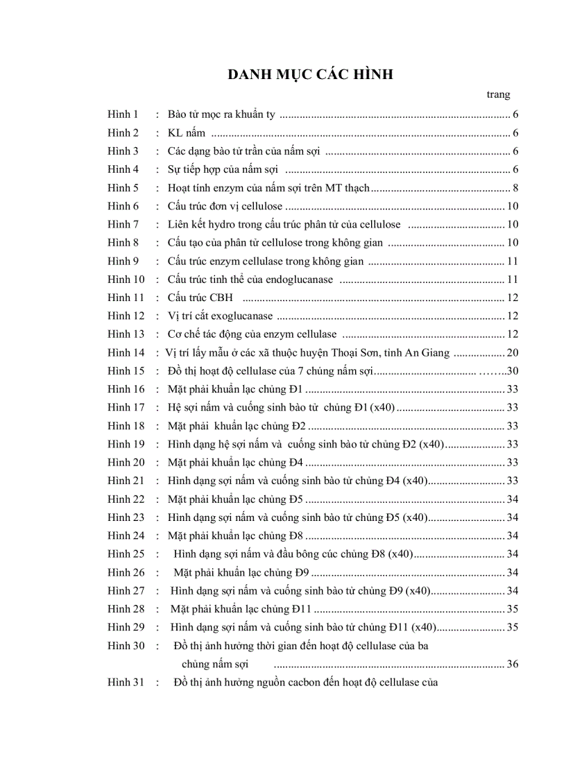 image for page Phân lập một số chủng nấm sợi có khả năng chuyển hóa rơm rạ từ lúa làm phân hữu cơ trồng trọt