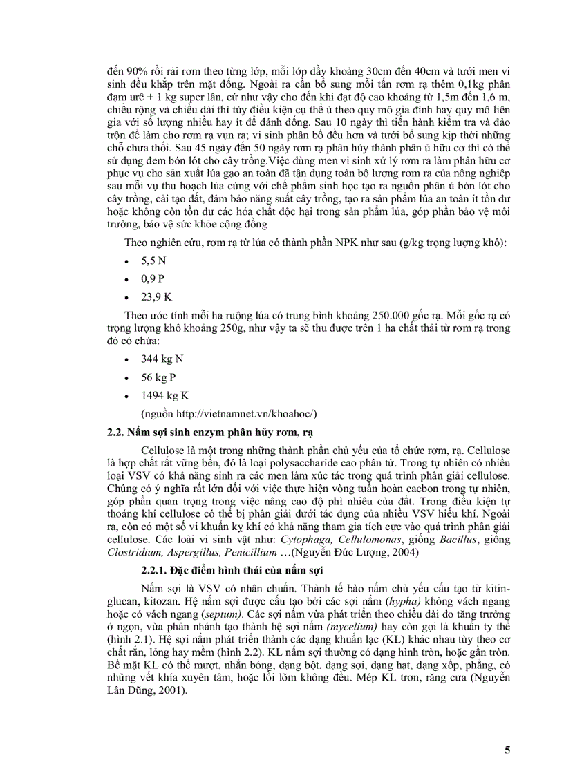 image for page Phân lập một số chủng nấm sợi có khả năng chuyển hóa rơm rạ từ lúa làm phân hữu cơ trồng trọt
