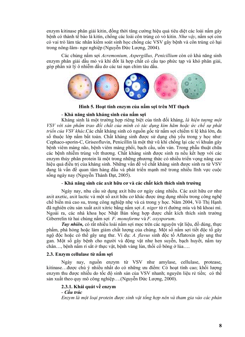 image for page Phân lập một số chủng nấm sợi có khả năng chuyển hóa rơm rạ từ lúa làm phân hữu cơ trồng trọt