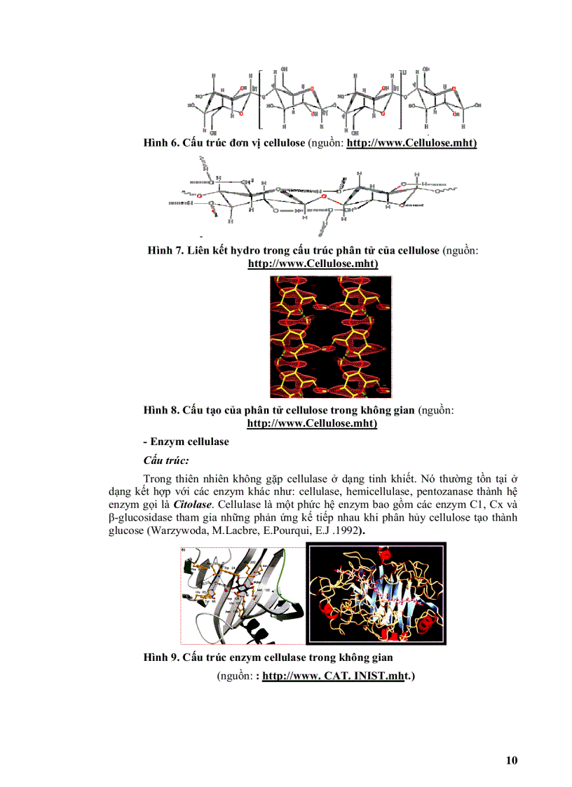 image for page Phân lập một số chủng nấm sợi có khả năng chuyển hóa rơm rạ từ lúa làm phân hữu cơ trồng trọt
