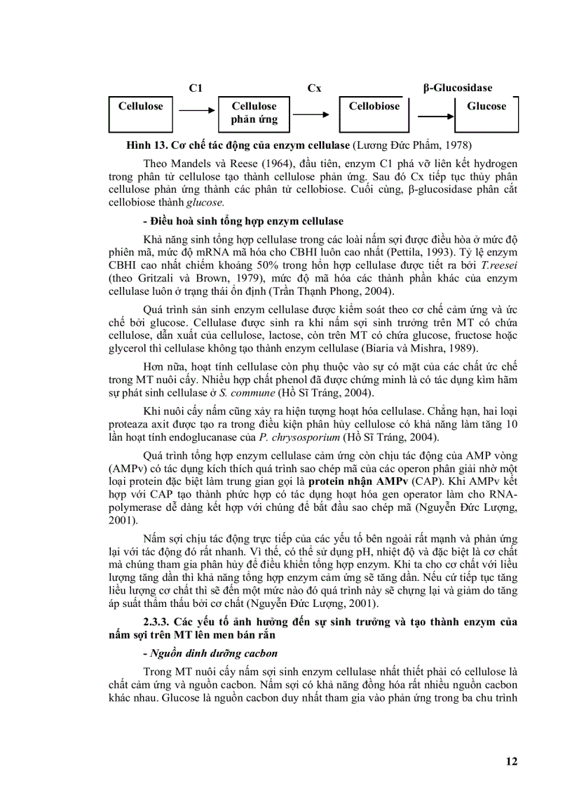 image for page Phân lập một số chủng nấm sợi có khả năng chuyển hóa rơm rạ từ lúa làm phân hữu cơ trồng trọt