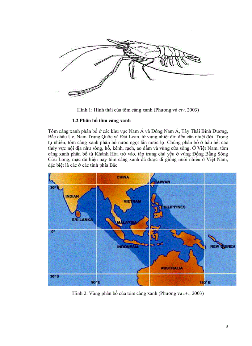 image for page So sánh sự sinh sản và phát triển của ấu trùng và hậu ấu trùng tôm càng xanh Macrobrachium rosenbergii nguồn gốc địa phương và Hawaii