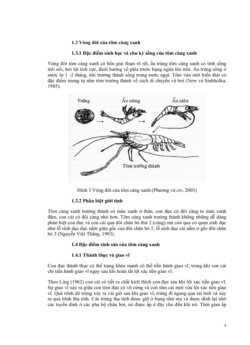 image for page So sánh sự sinh sản và phát triển của ấu trùng và hậu ấu trùng tôm càng xanh Macrobrachium rosenbergii nguồn gốc địa phương và Hawaii