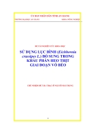 Sử Dụng Lục Bình Eichhornia Crassipes Bổ Sung Trong Khẩu Phần Heo Thịt Giai Đoạn Vổ Béo