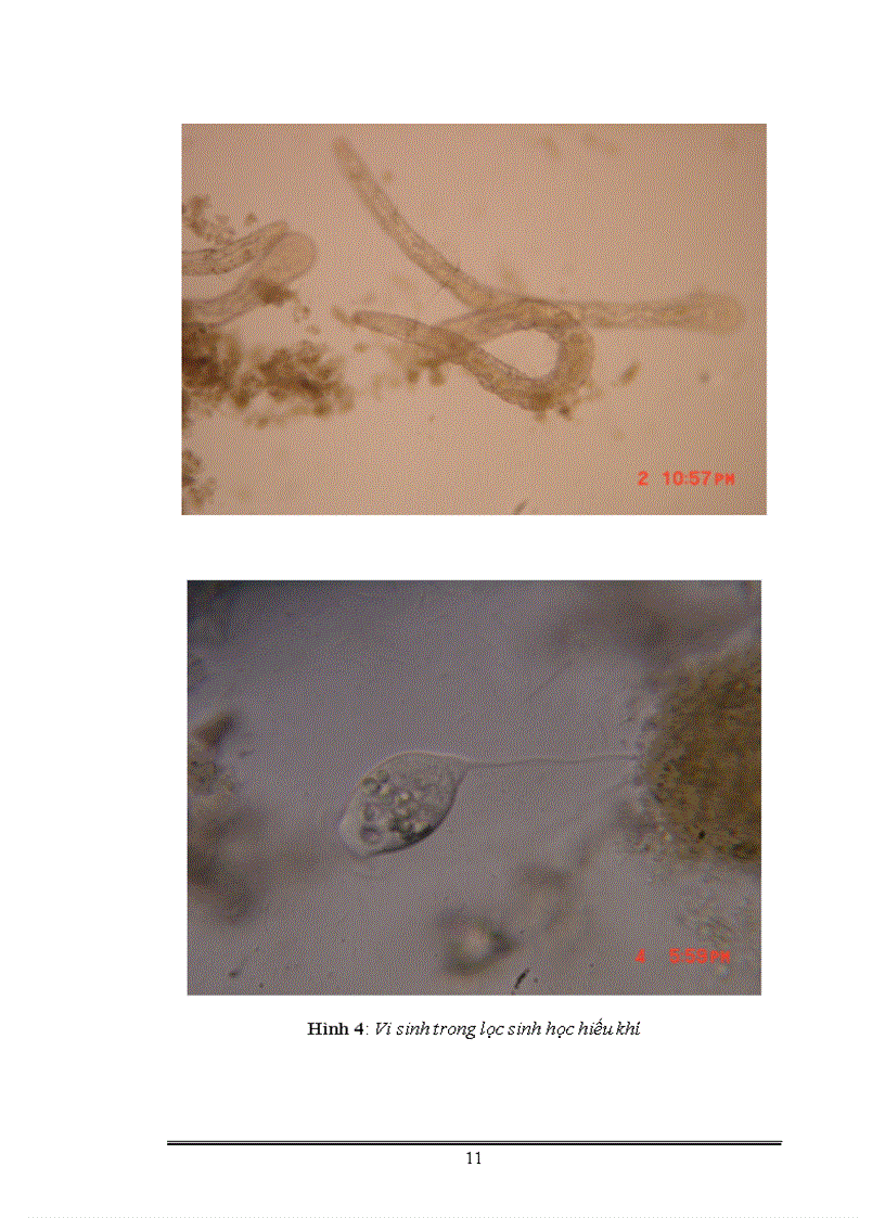 image for page Thiết kế nhà máy xử lý nước thải cho nhà máy hóa mỹ phẩm