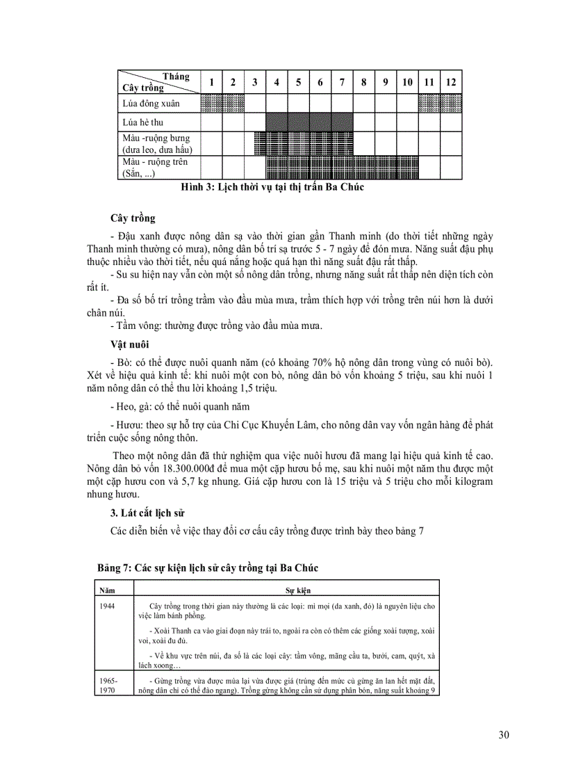 image for page Điều Tra Và Thiết Kế Xây Dựng Mô Hình Hệ Thống Canh Tác Bền Vững Trong Chuyển Đổi Cơ Cấu Cây Trồng Nơi Đất Cao Nhiều Cát Vùng Bảy Núi An Giang