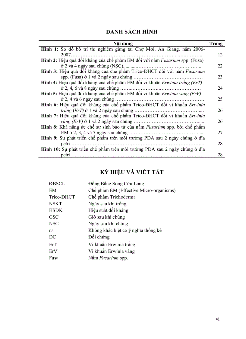image for page Hiệu quả của chế phẩm EM TRICO ĐHCT đối với bệnh thối củ gừng và ảnh hưởng của lượng giống kích thước sọt tre lên sinh trưởng năng suất củ gừng tại Mỹ An Chợ Mới An Giang