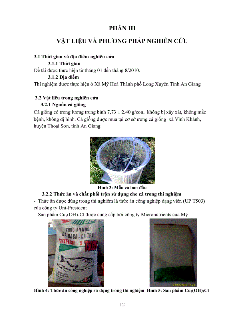 image for page Khảo sát ảnh hưởng nồng độ phối trộn Cu2 OH 3Cl trong thức ăn đến tỉ lệ sống tốc độ tăng trưởng và sự tích lũy Vitamin E Cu trong thịt fillet và gan của cá tra Pangasius hypophthalmus