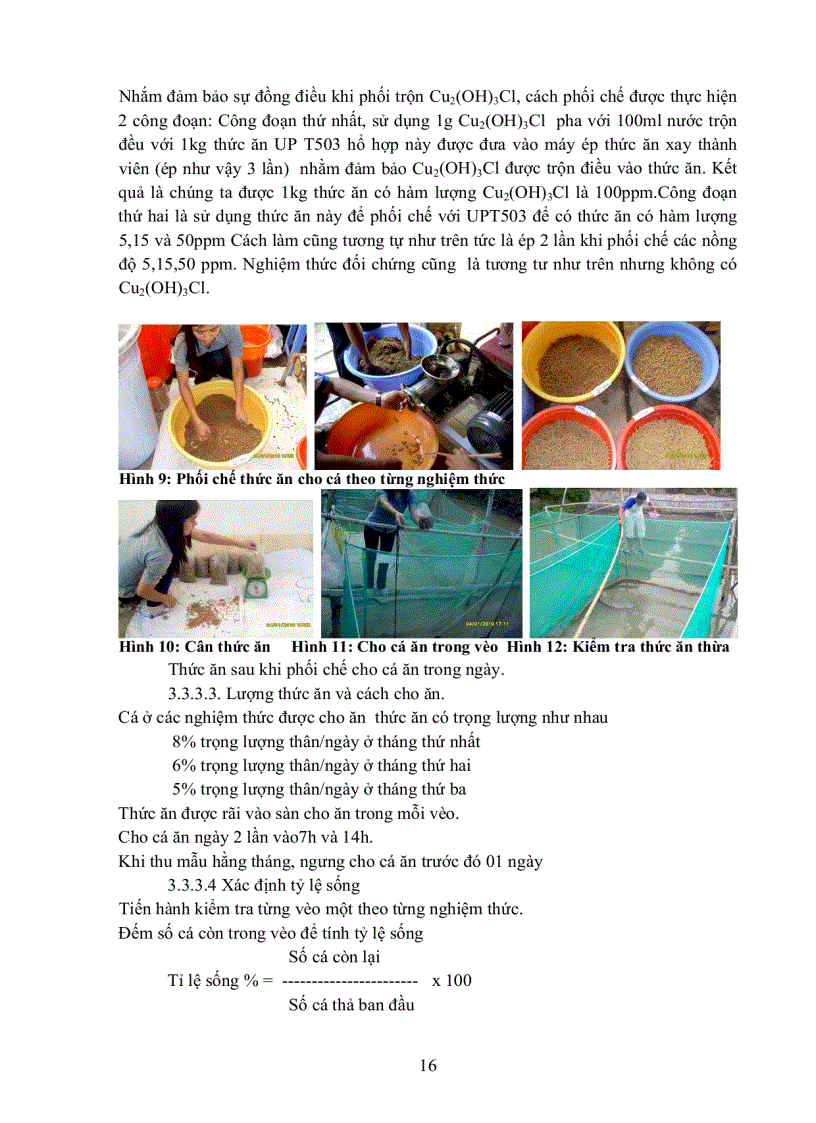 image for page Khảo sát ảnh hưởng nồng độ phối trộn Cu2 OH 3Cl trong thức ăn đến tỉ lệ sống tốc độ tăng trưởng và sự tích lũy Vitamin E Cu trong thịt fillet và gan của cá tra Pangasius hypophthalmus